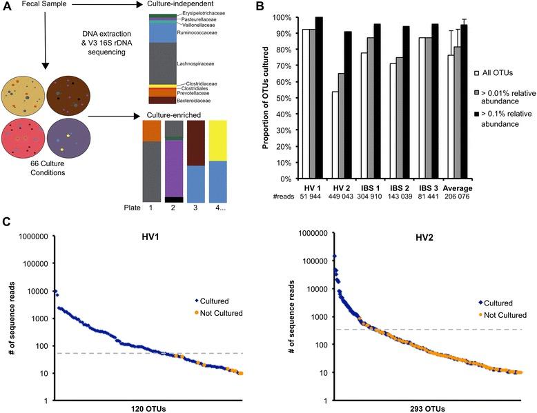 https://cdn.ncbi.nlm.nih.gov/pmc/blobs/ba1a/4929786/afcacf91257a/13073_2016_327_Fig1_HTML.jpg