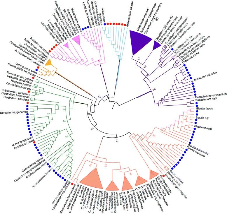 https://cdn.ncbi.nlm.nih.gov/pmc/blobs/ba1a/4929786/df1bbf0e90e8/13073_2016_327_Fig3_HTML.jpg