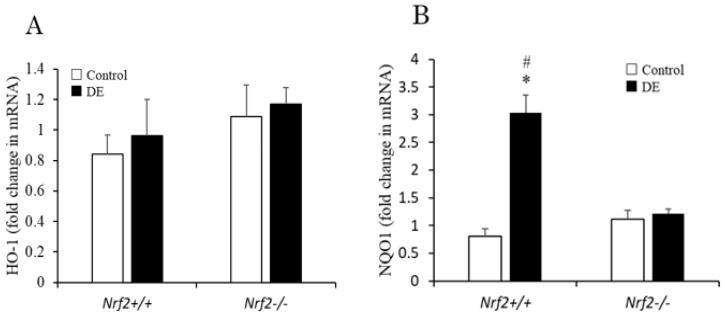 https://cdn.ncbi.nlm.nih.gov/pmc/blobs/ba1a/7589508/5f2d0edfffe8/biomedicines-08-00443-g006.jpg