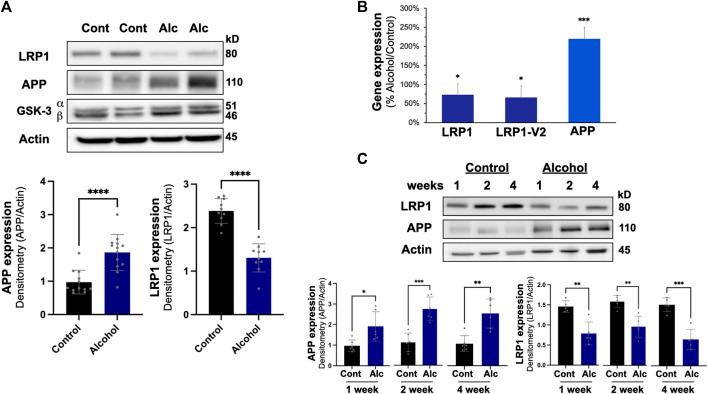 https://cdn.ncbi.nlm.nih.gov/pmc/blobs/ba1b/9520570/37148d9bb0fe/fphys-13-930402-g003.jpg