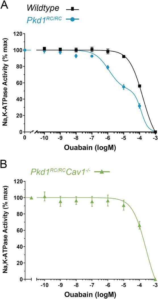 https://cdn.ncbi.nlm.nih.gov/pmc/blobs/ba1d/12186285/d763c46dae87/nihms-2070435-f0002.jpg
