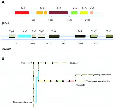 https://cdn.ncbi.nlm.nih.gov/pmc/blobs/ba1e/6482013/e8fff741a021/aav1110-F2.jpg