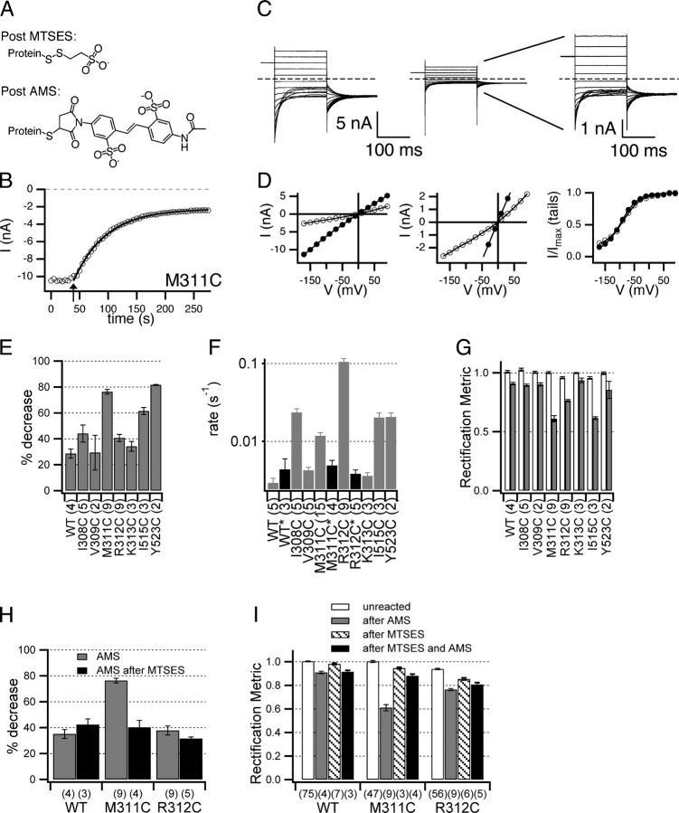 https://cdn.ncbi.nlm.nih.gov/pmc/blobs/ba1f/2234078/693e2865f655/200509258f7.jpg