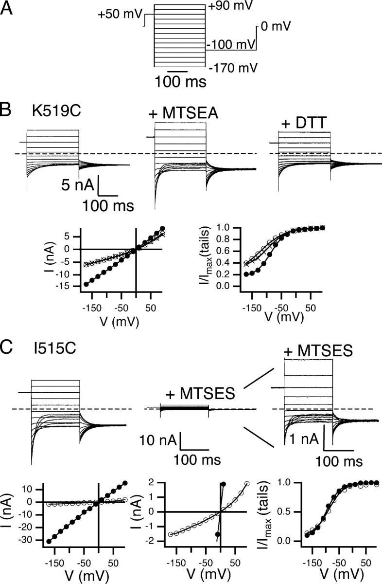 https://cdn.ncbi.nlm.nih.gov/pmc/blobs/ba1f/2234078/87ce1af1cb04/200509258f2.jpg
