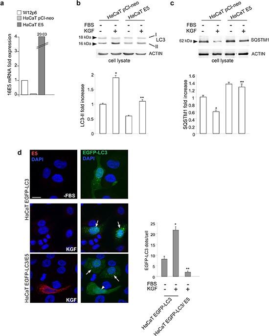 https://cdn.ncbi.nlm.nih.gov/pmc/blobs/ba1f/4496223/4e4b39a8020d/oncotarget-06-9370-g001.jpg