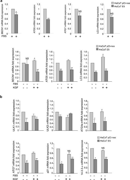 https://cdn.ncbi.nlm.nih.gov/pmc/blobs/ba1f/4496223/c3f8c9a93c2d/oncotarget-06-9370-g007.jpg