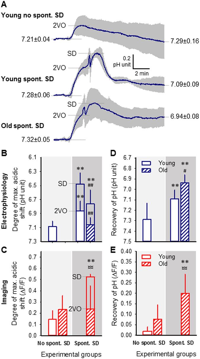 https://cdn.ncbi.nlm.nih.gov/pmc/blobs/ba20/5430878/006c64357299/41598_2017_1284_Fig6_HTML.jpg