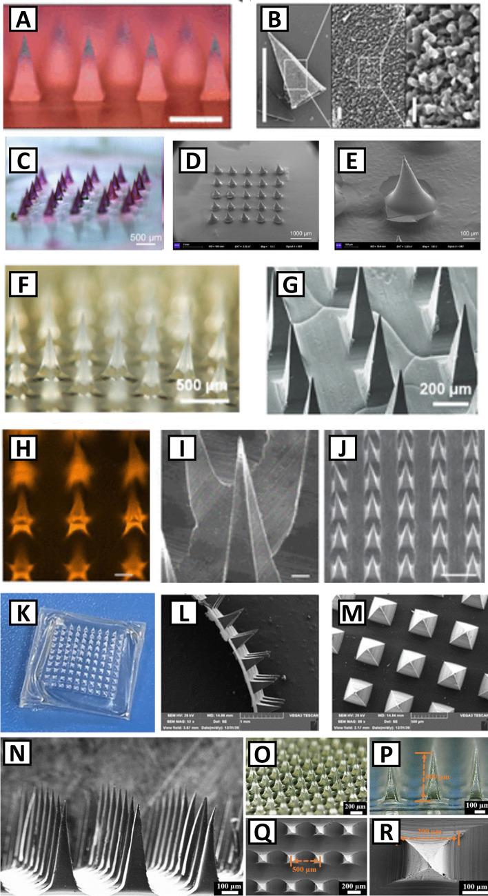 https://cdn.ncbi.nlm.nih.gov/pmc/blobs/ba21/11208216/8882a6a8cc29/13346_2024_1533_Fig2_HTML.jpg