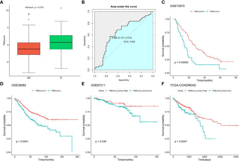 https://cdn.ncbi.nlm.nih.gov/pmc/blobs/ba22/9468757/2e5936e43b29/fonc-12-953321-g003.jpg