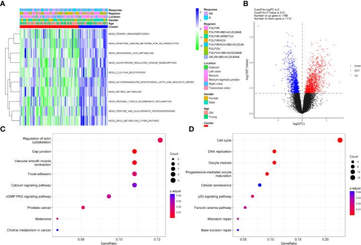 https://cdn.ncbi.nlm.nih.gov/pmc/blobs/ba22/9468757/63f0e0046deb/fonc-12-953321-g002.jpg