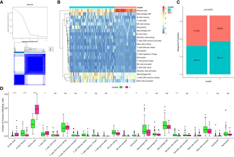https://cdn.ncbi.nlm.nih.gov/pmc/blobs/ba22/9468757/735b8c56cbe5/fonc-12-953321-g001.jpg