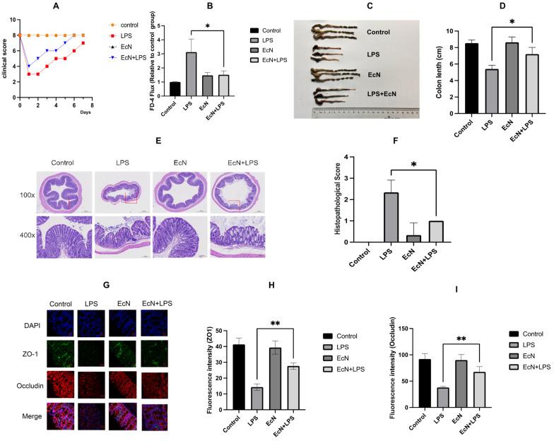 https://cdn.ncbi.nlm.nih.gov/pmc/blobs/ba23/11356217/2b05bc528e36/microorganisms-12-01622-g002.jpg