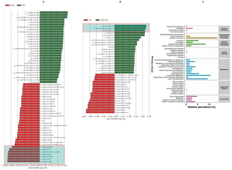https://cdn.ncbi.nlm.nih.gov/pmc/blobs/ba23/11356217/9d5f7164ccd9/microorganisms-12-01622-g004.jpg