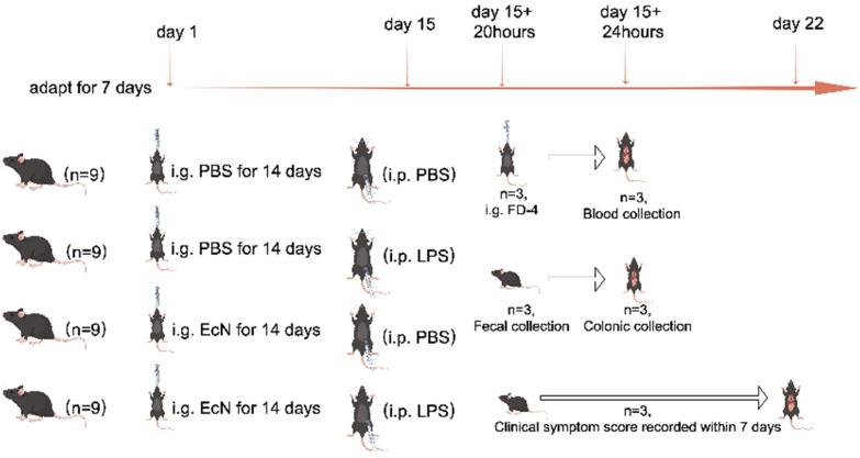 https://cdn.ncbi.nlm.nih.gov/pmc/blobs/ba23/11356217/da257678d0f4/microorganisms-12-01622-g001.jpg