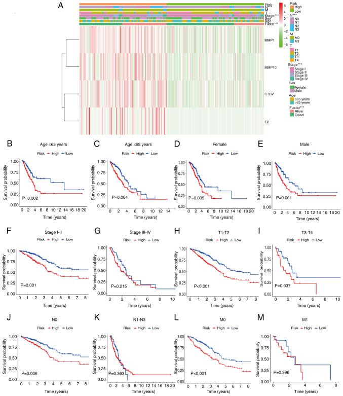 https://cdn.ncbi.nlm.nih.gov/pmc/blobs/ba25/12018795/c700b0c152a0/ol-29-06-15035-g07.jpg