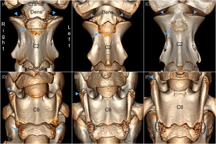 https://cdn.ncbi.nlm.nih.gov/pmc/blobs/ba27/11616957/6c61d554c5c5/EVJ-57-217-g005.jpg