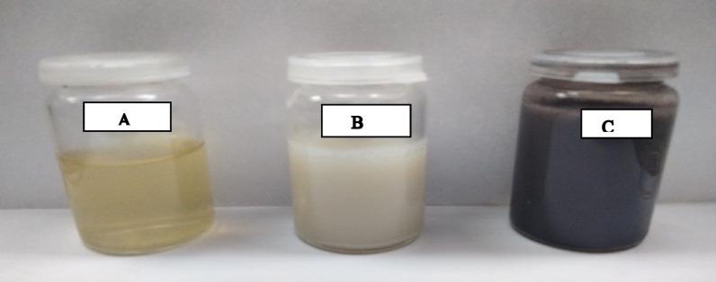 https://cdn.ncbi.nlm.nih.gov/pmc/blobs/ba27/12181296/f79a451f82cc/41598_2025_6697_Fig3_HTML.jpg