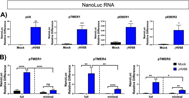 https://cdn.ncbi.nlm.nih.gov/pmc/blobs/ba27/8223928/30a4d1439f6c/jvi.00079-21-f0005.jpg