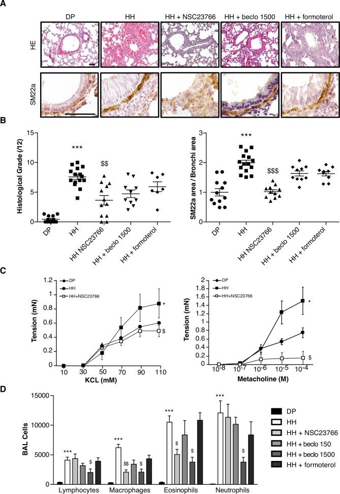 https://cdn.ncbi.nlm.nih.gov/pmc/blobs/ba28/7982925/057d74ca26d8/thoraxjnl-2020-216271f05.jpg