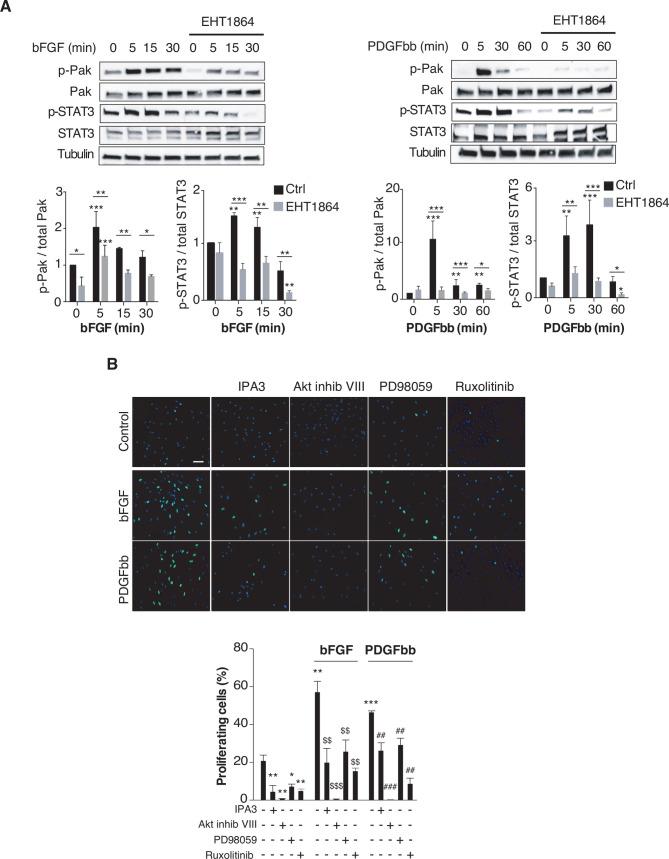 https://cdn.ncbi.nlm.nih.gov/pmc/blobs/ba28/7982925/590d077b4738/thoraxjnl-2020-216271f03.jpg