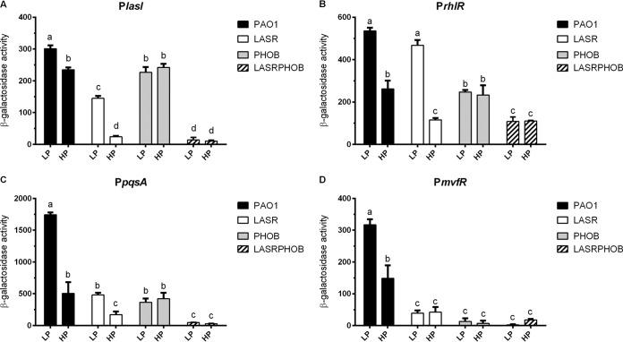 https://cdn.ncbi.nlm.nih.gov/pmc/blobs/ba29/7082139/07738b2cd943/mSphere.00119-20-f0004.jpg