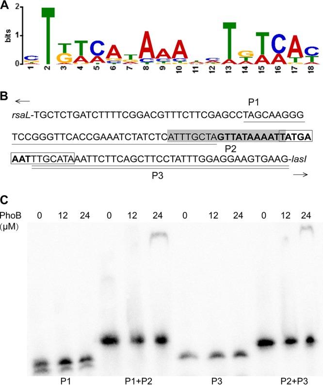 https://cdn.ncbi.nlm.nih.gov/pmc/blobs/ba29/7082139/10a78f54f37d/mSphere.00119-20-f0007.jpg
