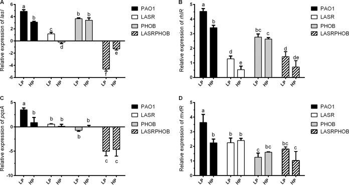 https://cdn.ncbi.nlm.nih.gov/pmc/blobs/ba29/7082139/8d5c475e22c8/mSphere.00119-20-f0003.jpg