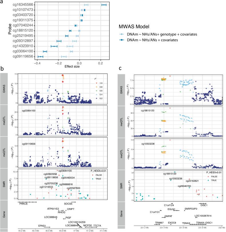 https://cdn.ncbi.nlm.nih.gov/pmc/blobs/ba2c/12056056/8432e655e9ed/41421_2025_795_Fig5_HTML.jpg
