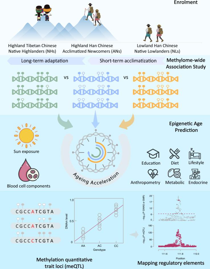 https://cdn.ncbi.nlm.nih.gov/pmc/blobs/ba2c/12056056/91b3a4a0af63/41421_2025_795_Fig1_HTML.jpg