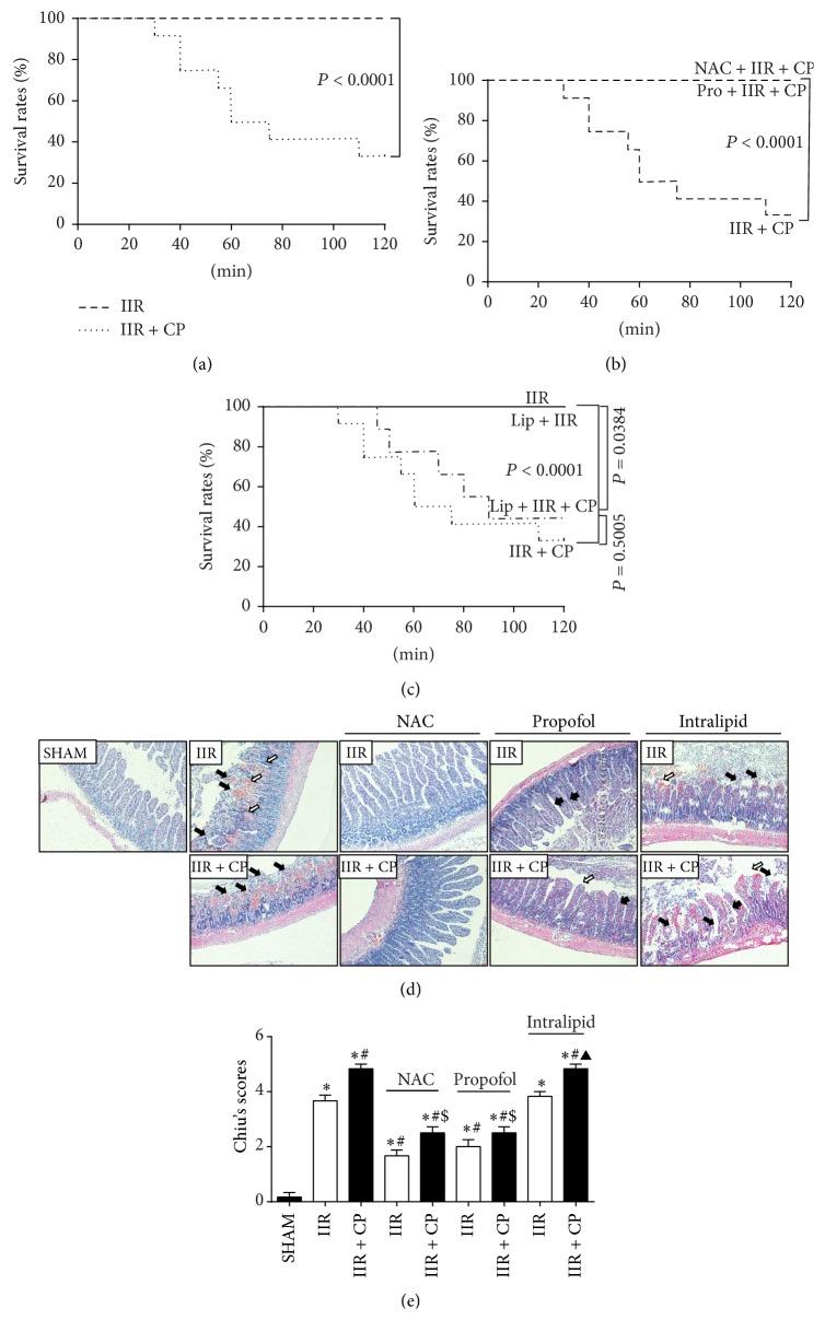 https://cdn.ncbi.nlm.nih.gov/pmc/blobs/ba2d/4515292/cc55e394bfe7/OMCL2015-167014.004.jpg