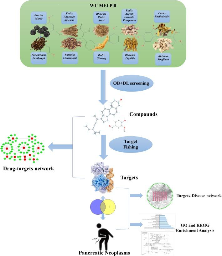 https://cdn.ncbi.nlm.nih.gov/pmc/blobs/ba2d/6611005/4f54eac53127/12906_2019_2580_Fig1_HTML.jpg