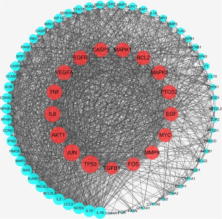 https://cdn.ncbi.nlm.nih.gov/pmc/blobs/ba2d/6611005/89d9d68b500d/12906_2019_2580_Fig5_HTML.jpg
