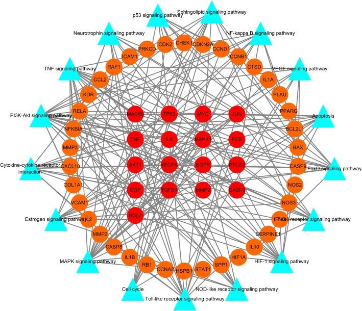 https://cdn.ncbi.nlm.nih.gov/pmc/blobs/ba2d/6611005/ff51505efcd4/12906_2019_2580_Fig8_HTML.jpg