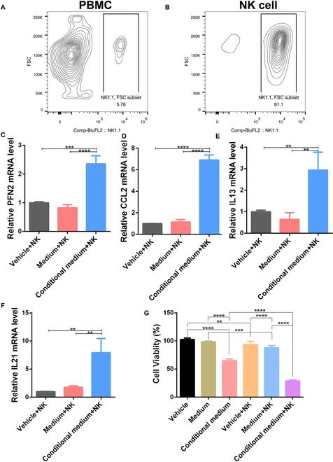 https://cdn.ncbi.nlm.nih.gov/pmc/blobs/ba2e/10202379/db4c298581f1/research.0127.fig.003.jpg