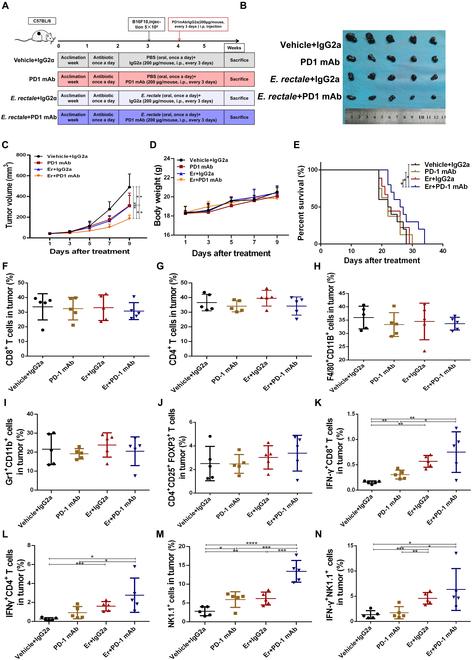https://cdn.ncbi.nlm.nih.gov/pmc/blobs/ba2e/10202379/e954eb641176/research.0127.fig.002.jpg