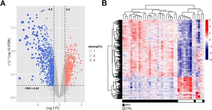 https://cdn.ncbi.nlm.nih.gov/pmc/blobs/ba2f/12040900/4da50bc5752c/fphys-16-1373721-g005.jpg