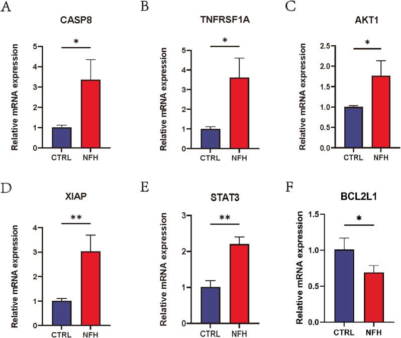https://cdn.ncbi.nlm.nih.gov/pmc/blobs/ba2f/12040900/7b8076c0eddf/fphys-16-1373721-g014.jpg