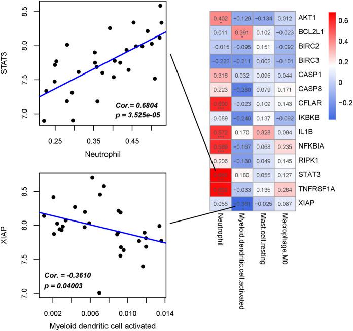 https://cdn.ncbi.nlm.nih.gov/pmc/blobs/ba2f/12040900/8ce639dbc368/fphys-16-1373721-g012.jpg