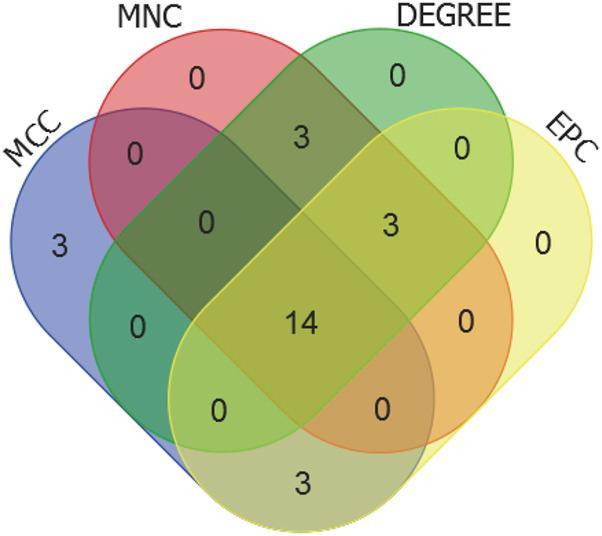 https://cdn.ncbi.nlm.nih.gov/pmc/blobs/ba2f/12040900/d02ba33862b9/fphys-16-1373721-g009.jpg