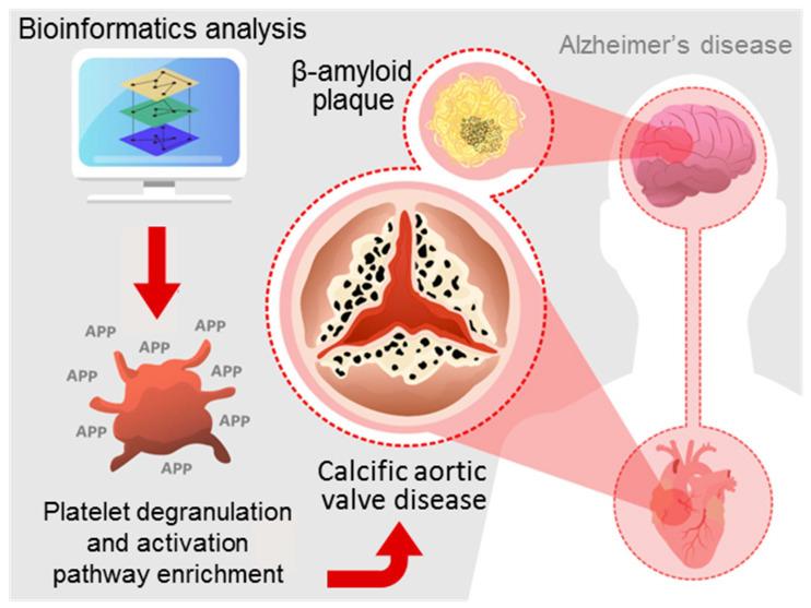 https://cdn.ncbi.nlm.nih.gov/pmc/blobs/ba30/7600313/2addbfea26f9/cells-09-02164-g006.jpg
