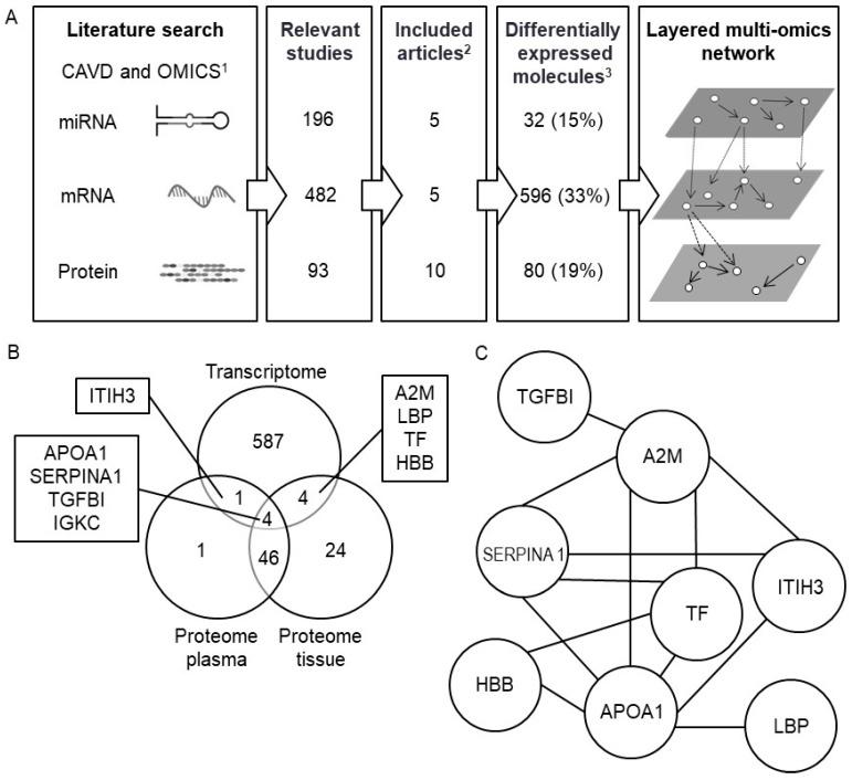https://cdn.ncbi.nlm.nih.gov/pmc/blobs/ba30/7600313/c71af559f8bc/cells-09-02164-g001.jpg