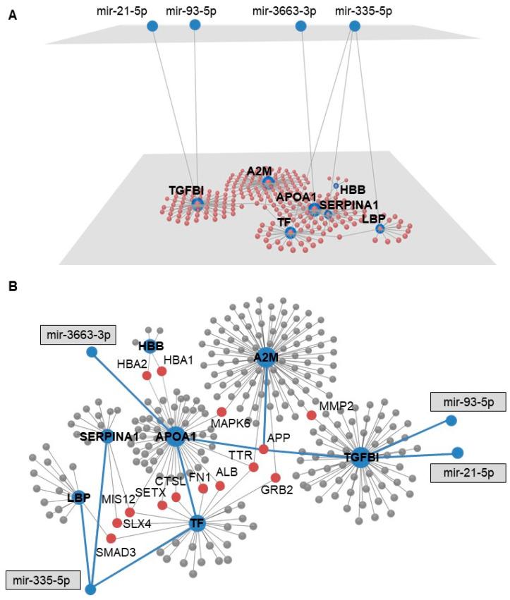 https://cdn.ncbi.nlm.nih.gov/pmc/blobs/ba30/7600313/e4125f6981ef/cells-09-02164-g002.jpg