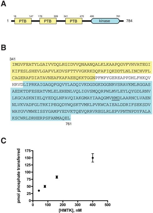 https://cdn.ncbi.nlm.nih.gov/pmc/blobs/ba32/3082566/0f9dc6813716/pone.0019296.g001.jpg