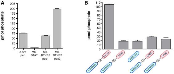 https://cdn.ncbi.nlm.nih.gov/pmc/blobs/ba32/3082566/acae9a7c13d8/pone.0019296.g002.jpg