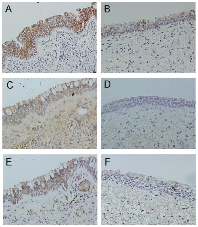 https://cdn.ncbi.nlm.nih.gov/pmc/blobs/ba37/3858290/9510b7993941/pone.0082373.g003.jpg