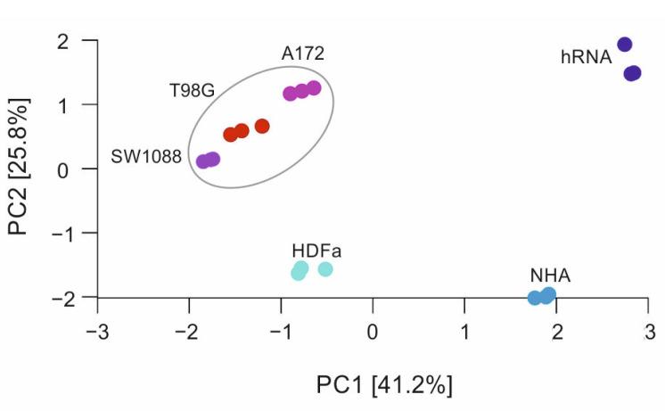 https://cdn.ncbi.nlm.nih.gov/pmc/blobs/ba3a/9504477/e28269a28e25/ijms-23-10883-g002.jpg