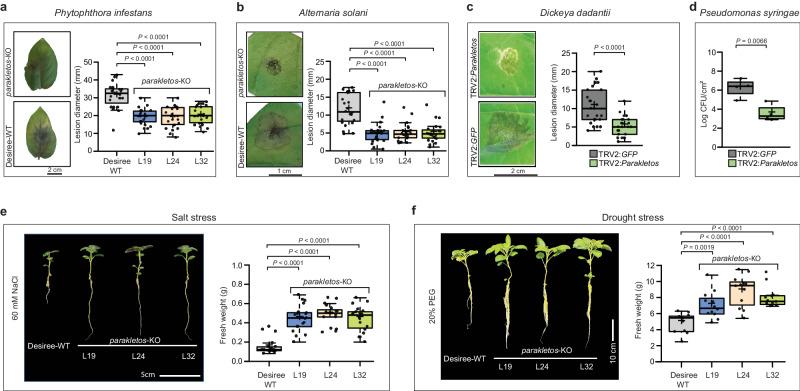 https://cdn.ncbi.nlm.nih.gov/pmc/blobs/ba3e/11189580/b35c3adfa819/41467_2024_49584_Fig3_HTML.jpg