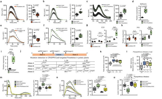 https://cdn.ncbi.nlm.nih.gov/pmc/blobs/ba3e/11189580/bb7087c788d6/41467_2024_49584_Fig2_HTML.jpg