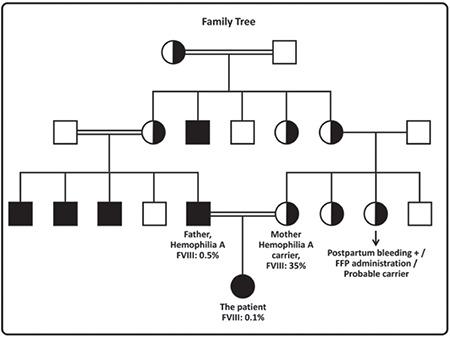 https://cdn.ncbi.nlm.nih.gov/pmc/blobs/ba3e/6110442/68af54a7eec7/TJH-35-202-g2.jpg