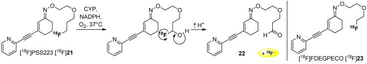 https://cdn.ncbi.nlm.nih.gov/pmc/blobs/ba3f/6332123/43d0dfc23932/molecules-20-16186-g006.jpg